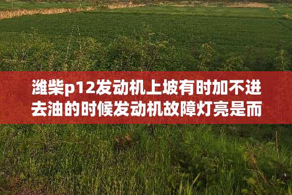 潍柴p12发动机上坡有时加不进去油的时候发动机故障灯亮是而且还熄火什么原因