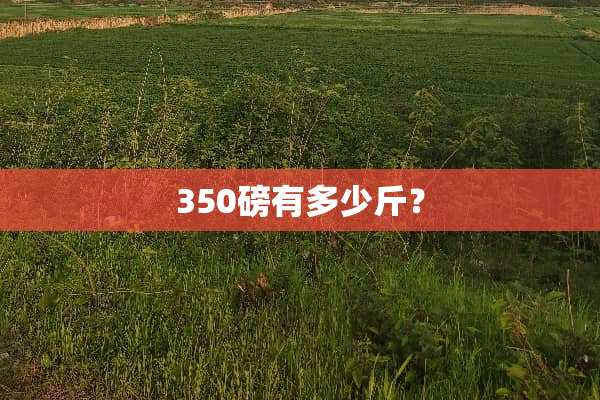 350磅有多少斤？