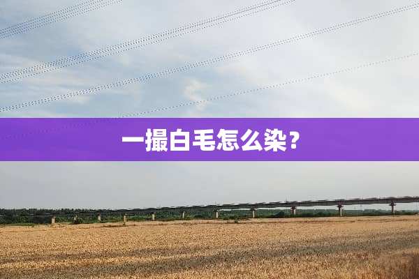 一撮白毛怎么染？