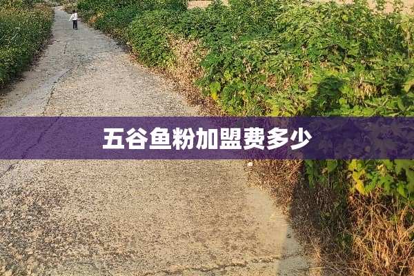 五谷鱼粉加盟费多少