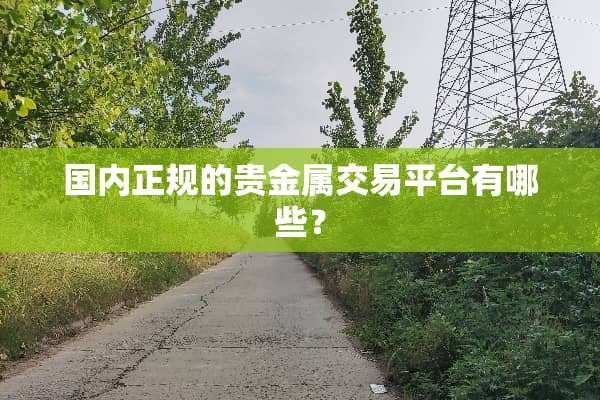 国内正规的贵金属交易平台有哪些？