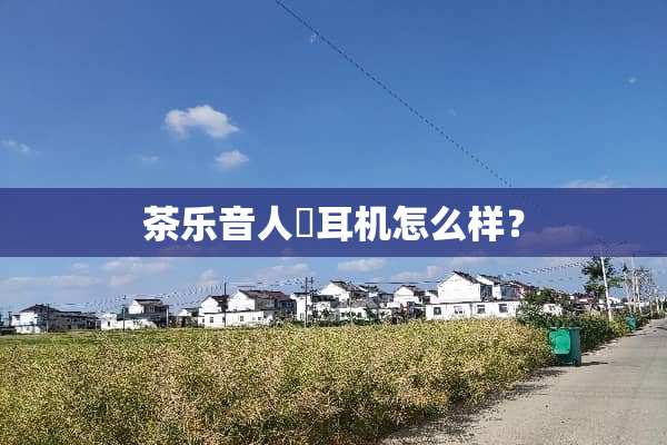 茶乐音人雫耳机怎么样？