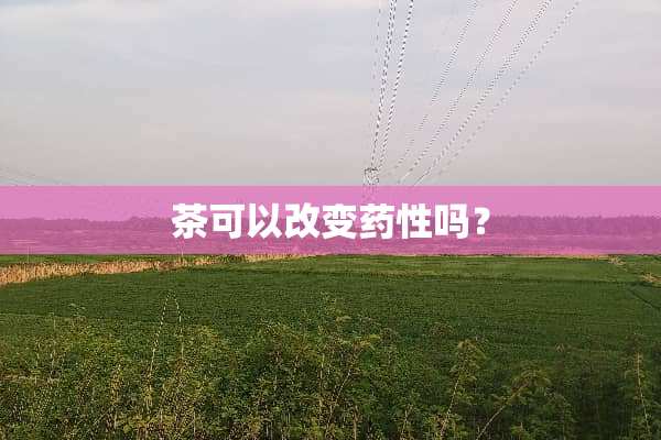茶可以改变药性吗？