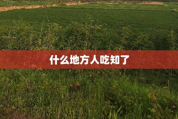 什么地方人吃知了