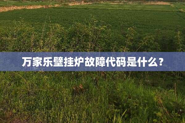 万家乐壁挂炉故障代码是什么？