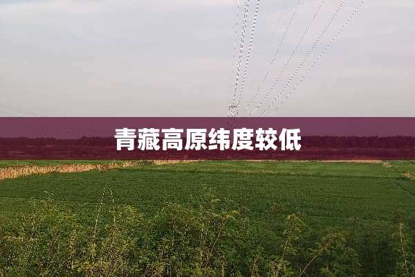 青藏高原纬度较低