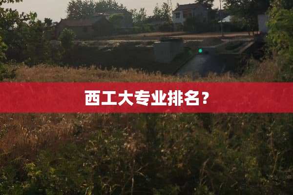 西工大专业排名？