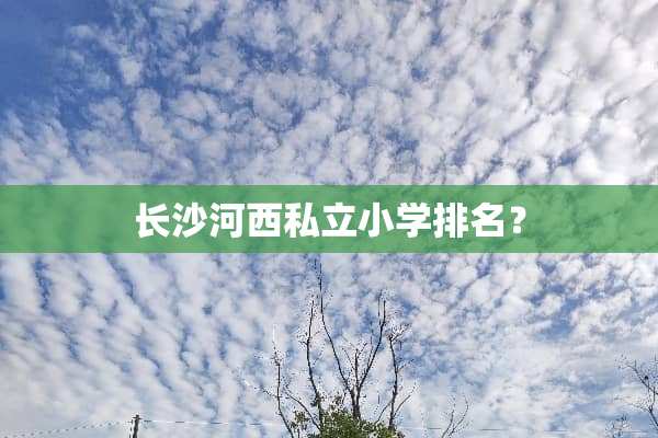 长沙河西私立小学排名？