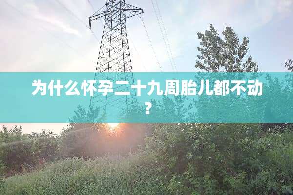 为什么怀孕二十九周胎儿都不动？