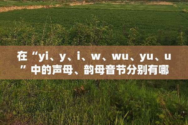在“yi、y、i、w、wu、yu、u”中的声母、韵母音节分别有哪些？