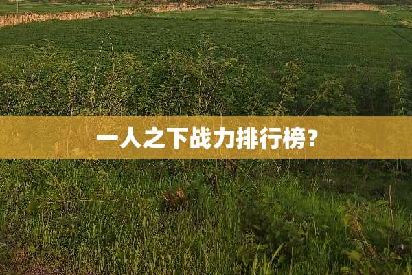 一人之下战力排行榜？