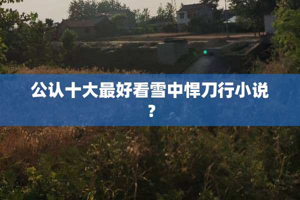 公认十大最好看雪中悍刀行小说？