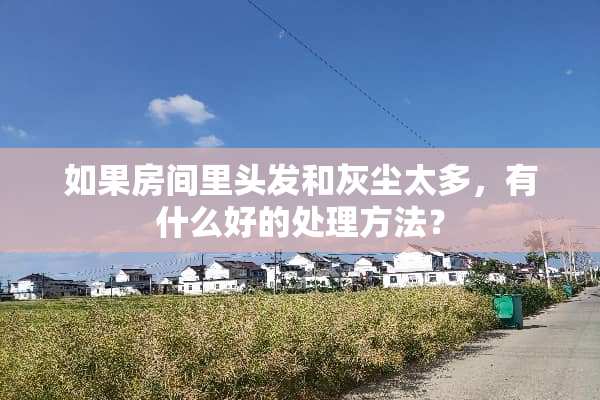 如果房间里头发和灰尘太多，有什么好的处理方法？