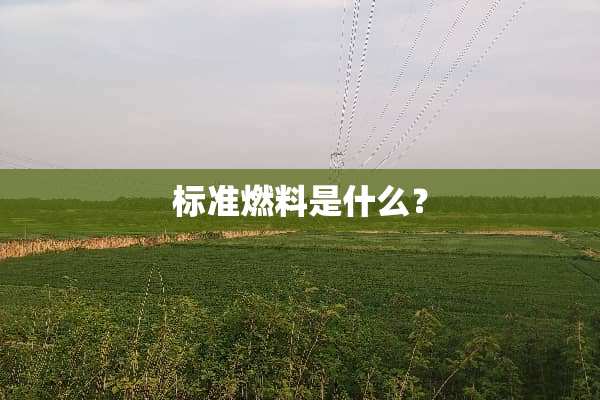 标准燃料是什么？