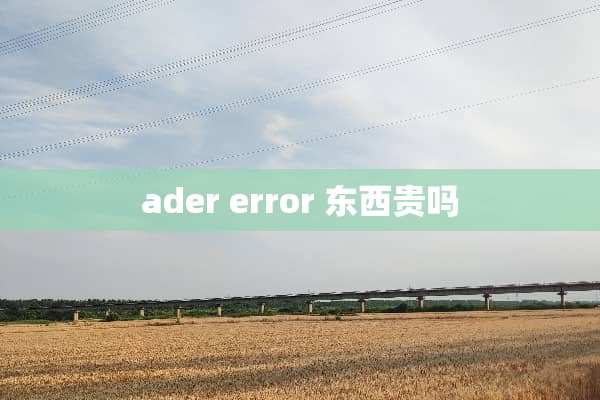 ader error 东西贵吗