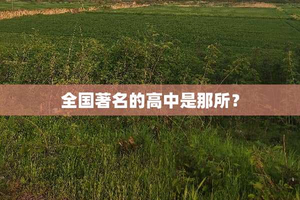 全国著名的高中是那所？