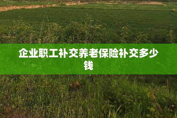 企业职工补交养老保险补交多少钱