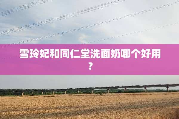 雪玲妃和同仁堂洗面奶哪个好用？