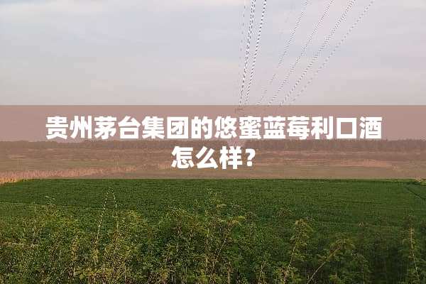 贵州茅台集团的悠蜜蓝莓利口酒怎么样？