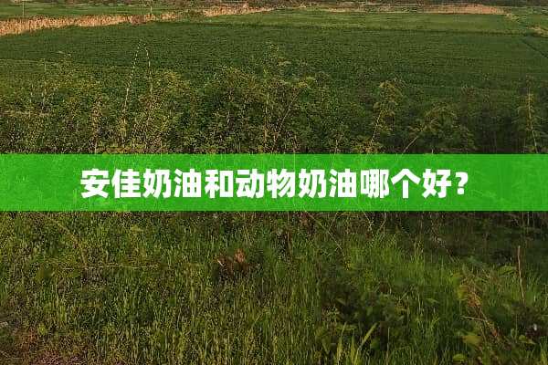 安佳奶油和动物奶油哪个好？