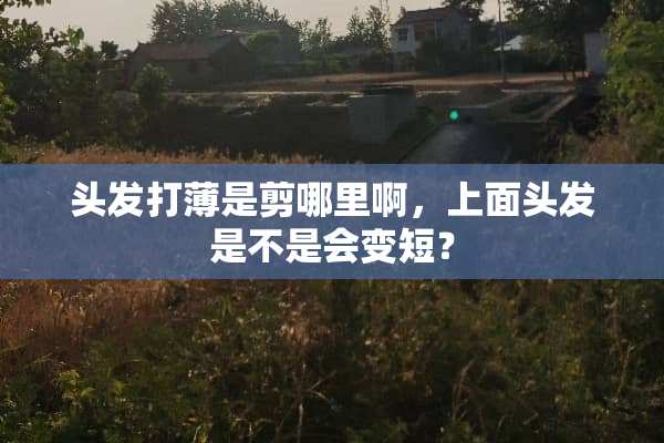 头发打薄是剪哪里啊，上面头发是不是会变短？