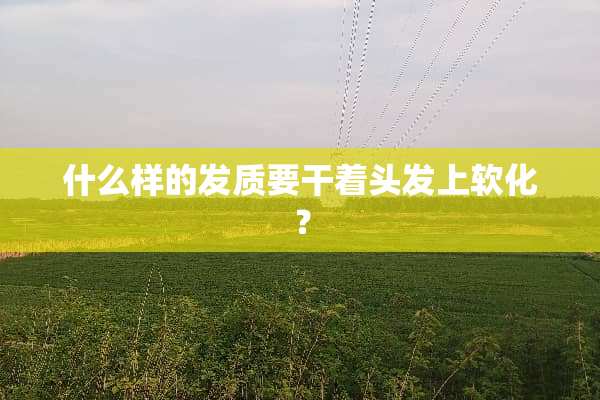 什么样的发质要干着头发上软化？