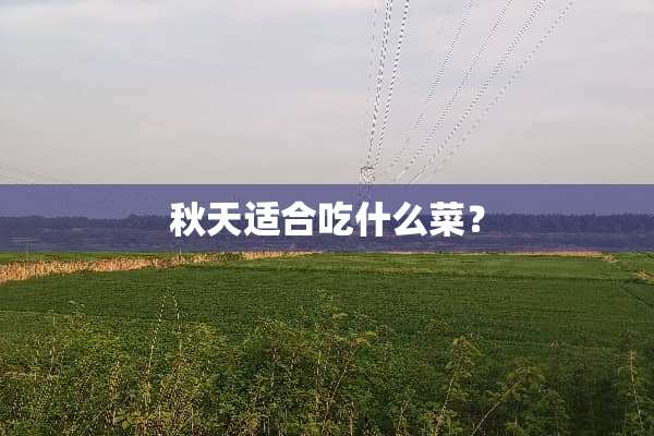 秋天适合吃什么菜？