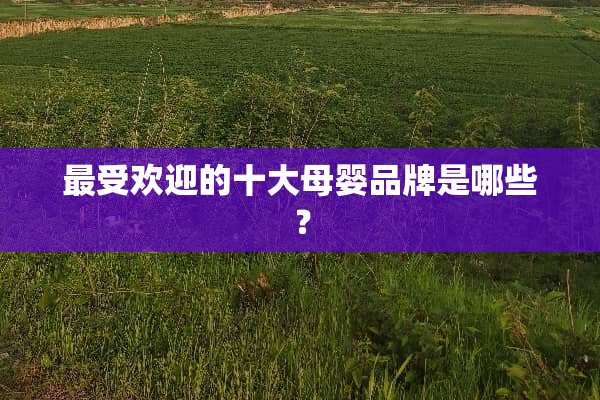 最受欢迎的十大母婴品牌是哪些？