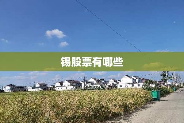 锡股票有哪些