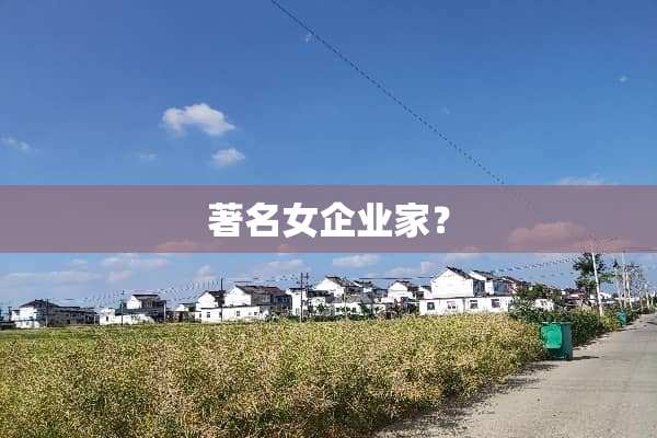 著名女企业家？