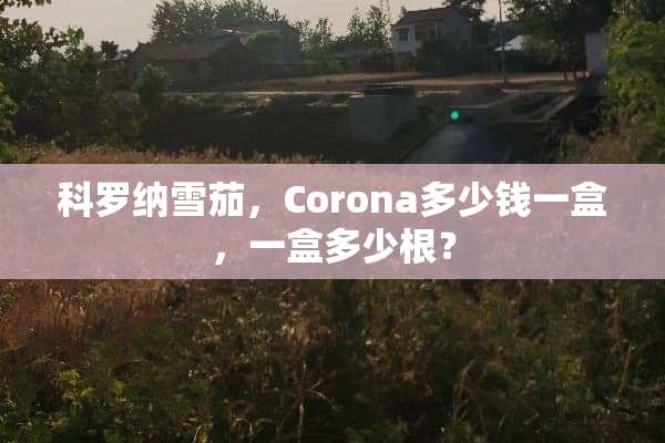 科罗纳雪茄，Corona多少钱一盒，一盒多少根？