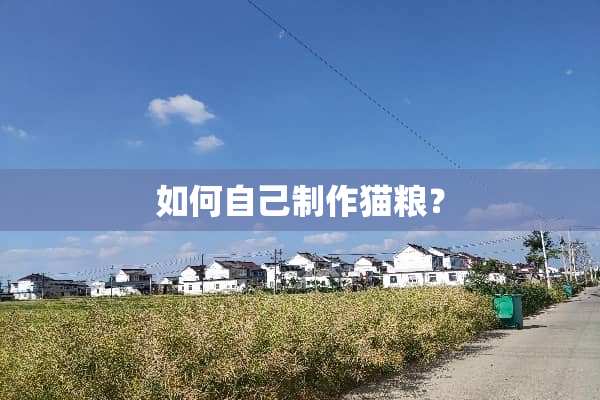 如何自己制作猫粮？