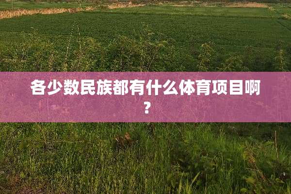 各少数民族都有什么体育项目啊？