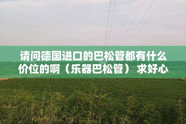 请问德国进口的巴松管都有什么价位的啊（乐器巴松管） 求好心人指点指点