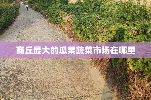 商丘最大的瓜果蔬菜市场在哪里