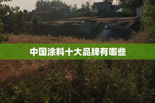 中国涂料十大品牌有哪些