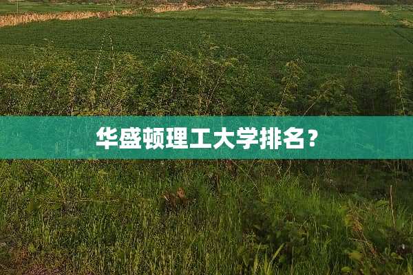 华盛顿理工大学排名？