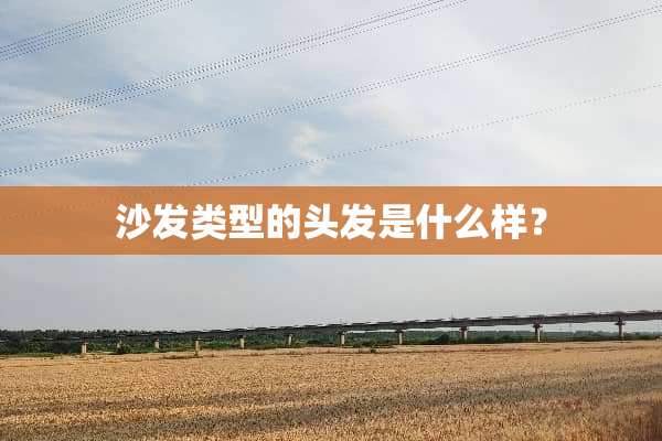 沙发类型的头发是什么样？