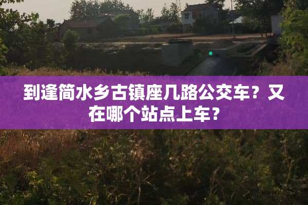 到逢简水乡古镇座几路公交车？又在哪个站点上车？