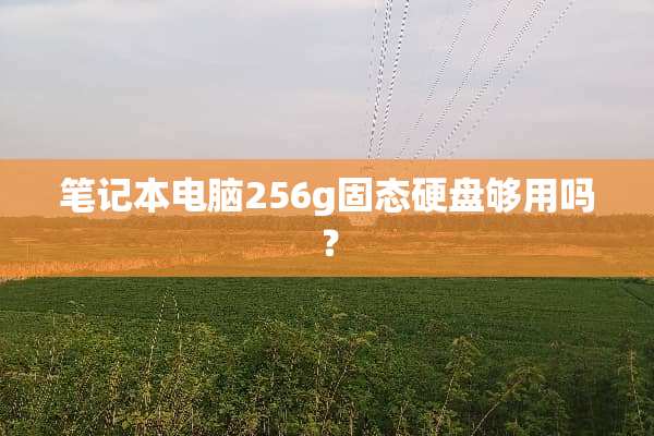 笔记本电脑256g固态硬盘够用吗？