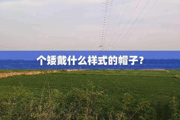 个矮戴什么样式的帽子？