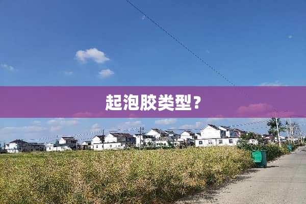 起泡胶类型？