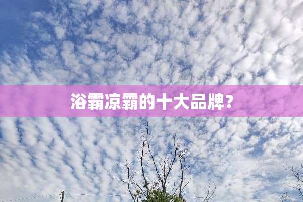 浴霸凉霸的十大品牌？