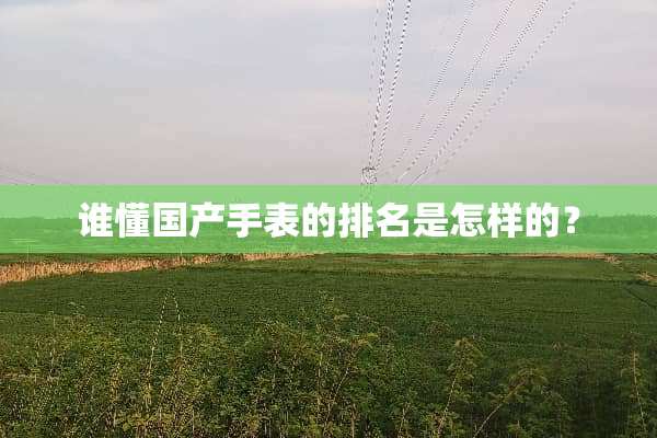 谁懂国产手表的排名是怎样的？