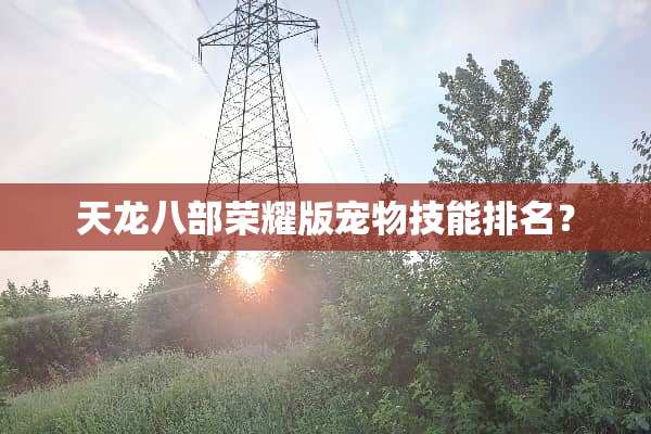 天龙八部荣耀版宠物技能排名？