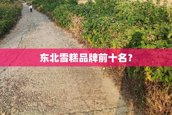 东北雪糕品牌前十名？