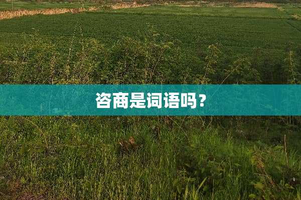 咨商是词语吗？