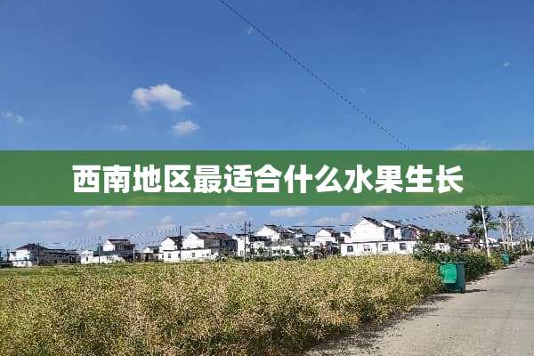 西南地区最适合什么水果生长
