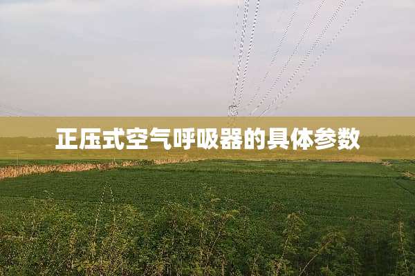 正压式空气呼吸器的具体参数