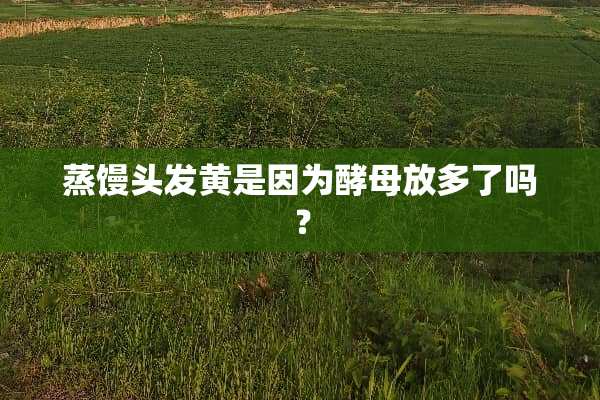 蒸馒头发黄是因为酵母放多了吗？